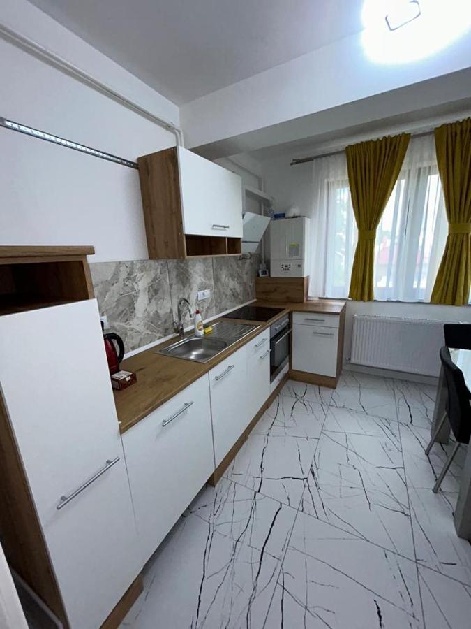 Marvellous Aparthotel With Master Apartments Сучава Экстерьер фото
